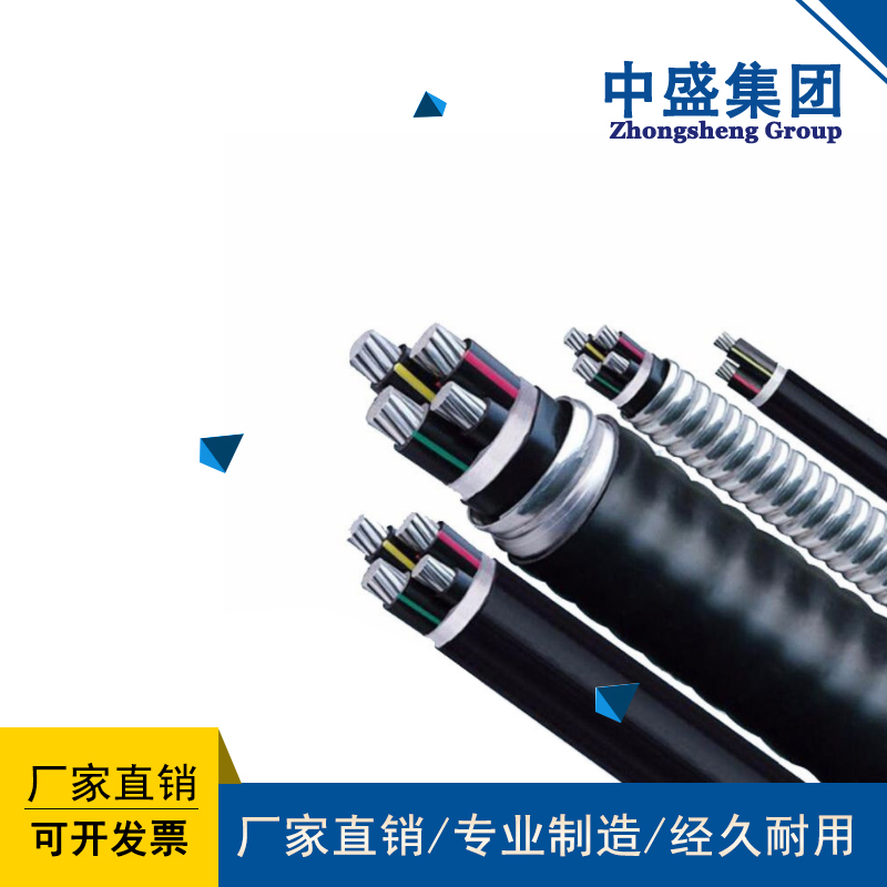 安徽中盛阻燃鋁合金電纜抗蠕變易安裝ZRC-YJLHY23 1.8/3KV 2*240