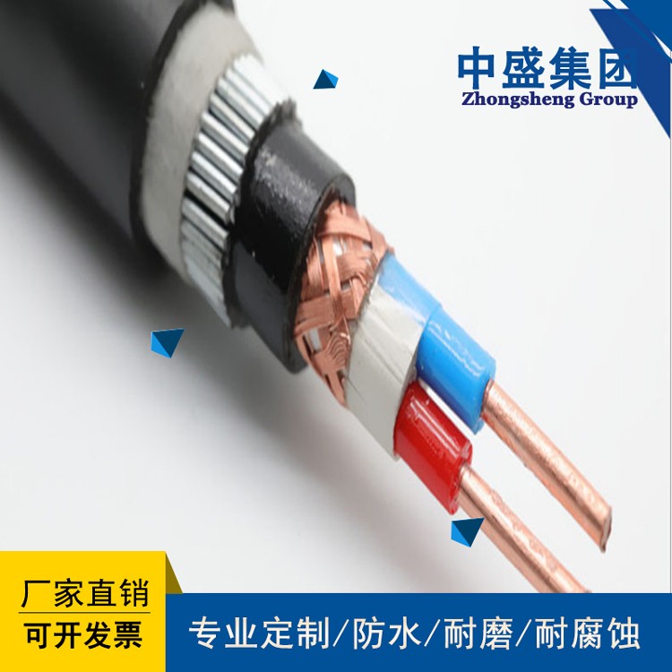 中盛電纜阻燃鎧裝計(jì)算機(jī)軟電纜ZRA-DJYVRP32 1*2*2.5